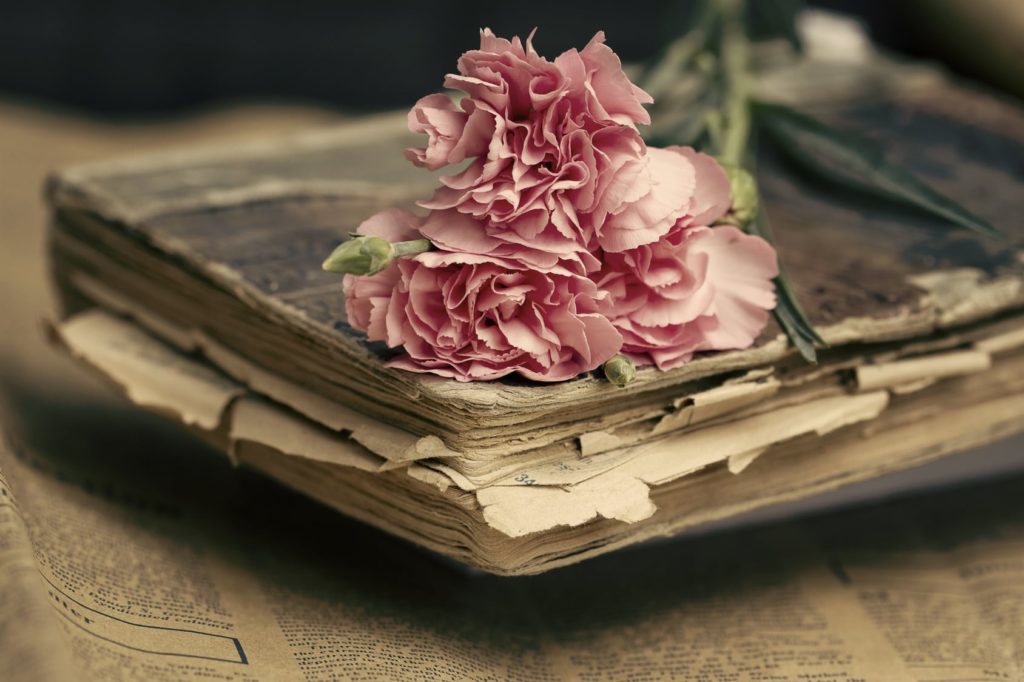 flower laying on old book