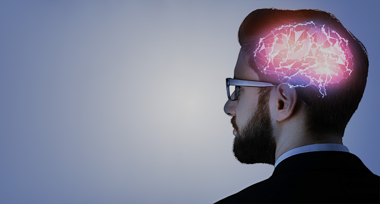brain