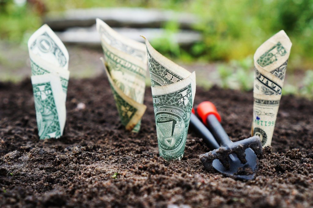 cash growing out of dirt